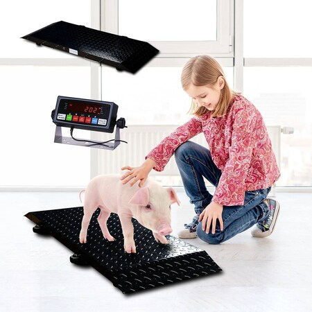 Prime Systems Multi Purpose Portable Floor Scale to Weigh DrumVetLivestock 2000 X.2 lb PS-FSLV-2KAS