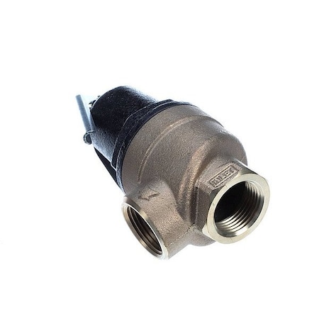 A.O. Smith Relief Valves for Water Heaters 100111922