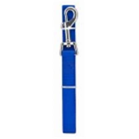 Peticare Products 1x 6 in. Pet Expert Nylon Dog Leash, Blue PE579226