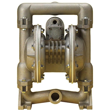 Dendesigns Air-Operated Stainless-Steel Double Diaphragm Pump 1 in. NPT DE1112946