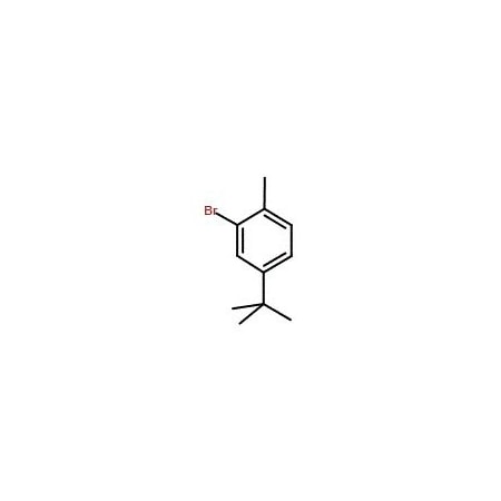 Ak Scientific 2-Bromo-4-tert-butyl-1-methylbenzene (5g), CAS 61024-94-0 1607AJ-5g