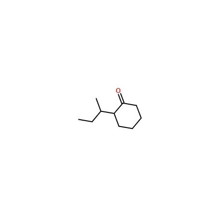 Ak Scientific 2-sec-Butylcyclohexanone, mixture of diastereomers (25g), CAS 14765-30-1 7346AA-25g