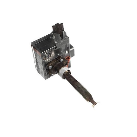 A.O. Smith Controls for Water Heaters 100110706