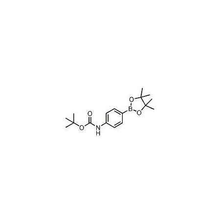 Ak Scientific 4-(Boc-amino)benzeneboronic acid pinacol ester (1g), CAS 330793-01-6 N862-1g