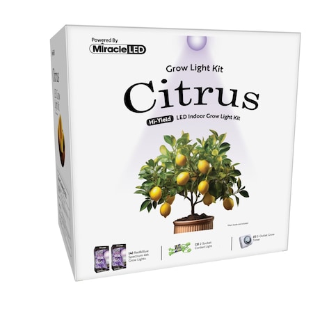 Miracle Led Citrus Tree Starter Grow Light Kit, 4KK Purple Spectrum, 2PK 803400