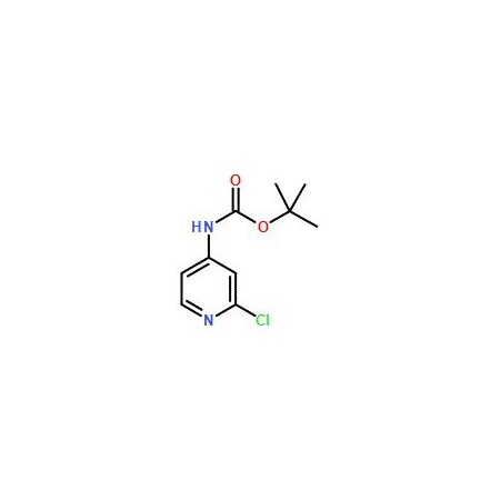Ak Scientific tert-Butyl 2-chloropyridine-4-carbamate (100g), CAS 234108-73-7 V4561-100g