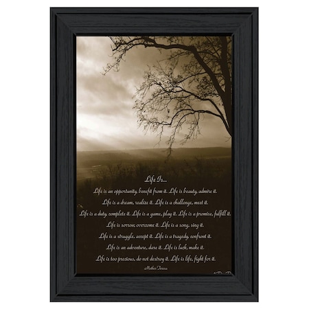 Homeroots Life is 3 Black Framed Print Wall Art 406475