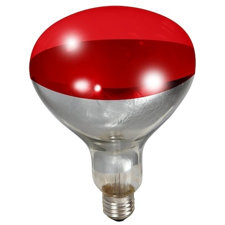 Little Giant BULB FOR BROODER LAMP RED 250W 170024