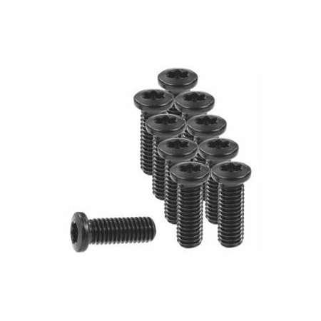 Garant Set of Insert Screws, 10 Pieces 219819