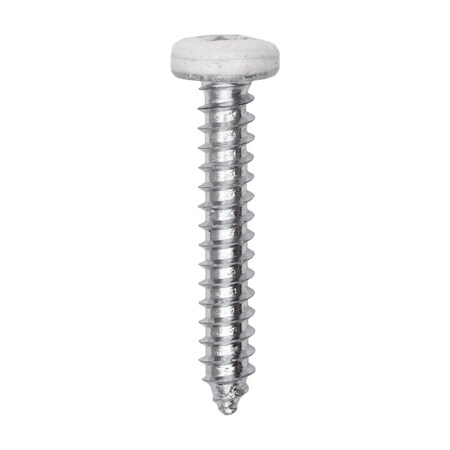 8 x 1in White Painted Square Drive Pan Head Tapping Screw, 100PK