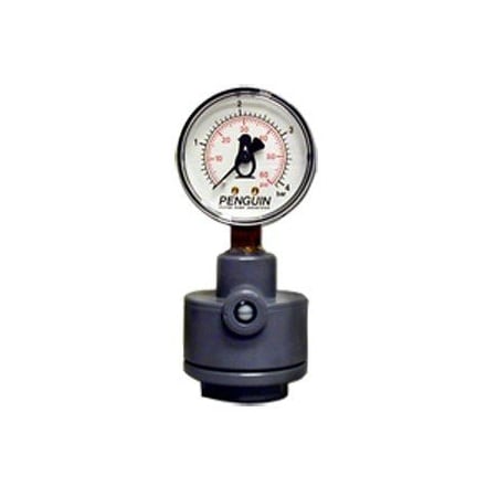 Filter Pump Gauge Guard with Gauge, 0-100 psi, PVDF/FKM, 1/2in FPT process connection, 1/4in Gauge Connection PGGC-100-V