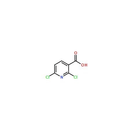 Ak Scientific 2, 6-Dichloronicotinic acid (500g), CAS 38496-18-3 P365-500g