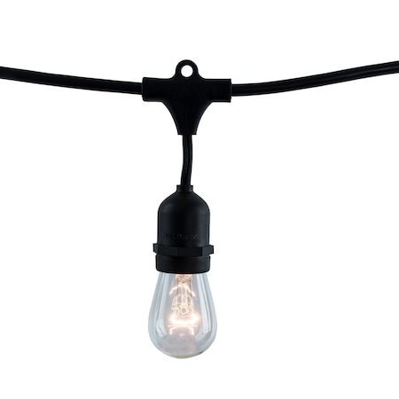 Bulbrite 30 ft. Plug-In Edison Bulb S14 Incandescent Vintage Style Black String Light 12 Sockets- Bulbs 812312