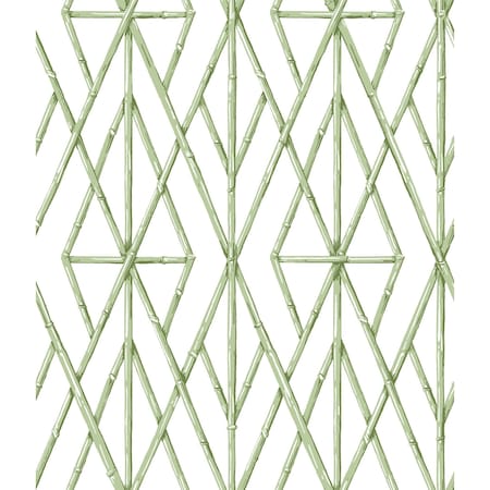 York Wallcoverings Riviera Bamboo Trellis Green Wallpaper CV4451