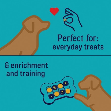 Stewart Focus 8 Oz. Freeze-Fried Salmon Dog Treat 405336