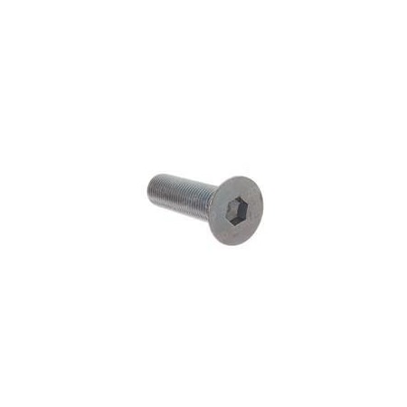 Cascade REPLACEMENT CAPSCREW, FLAT SOCKET HD 4674