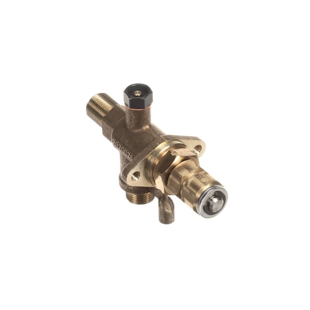 Rancilio Steam Tap and Anti-Vac Valve 10060149