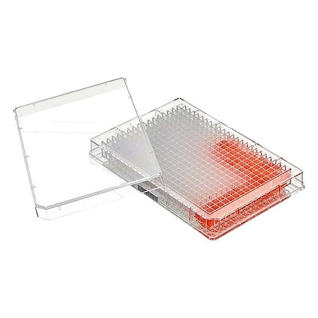 Globe Scientific Well Plate, Colorless, PK50 TC-PLT-384