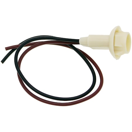 Dorman License Plate Socket,  85814
