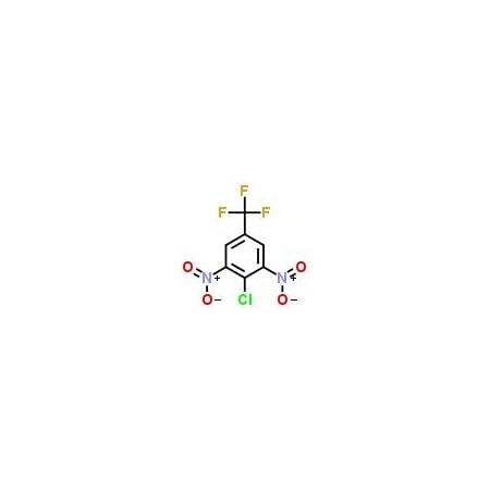 Ak Scientific 4-Chloro-3, 5-dinitrobenzotrifluoride (100g), CAS 393-75-9 E928-100g