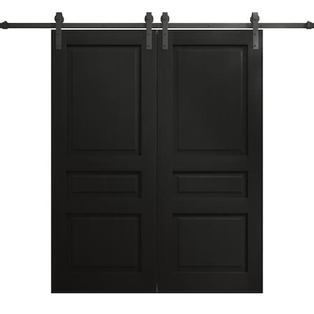 Sartodoors Modern Double Barn Door 84 x 84 inches, Ego 5012 Painted Black Oak, 14FT Rail Track Set, Solid Pa EGO5012DB-CHK-8484