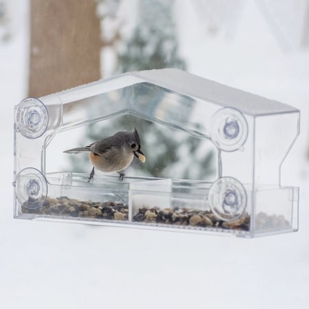 Perky-Pet Clear Plastic Window 1 Lb. Capacity Bird Feeder 347