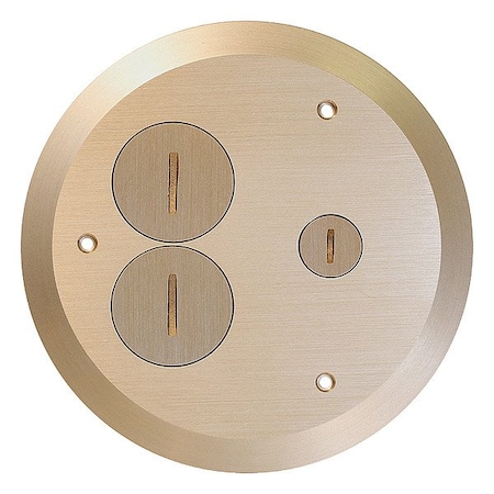 Leviton Plugs and Receptacles FBC1X-B