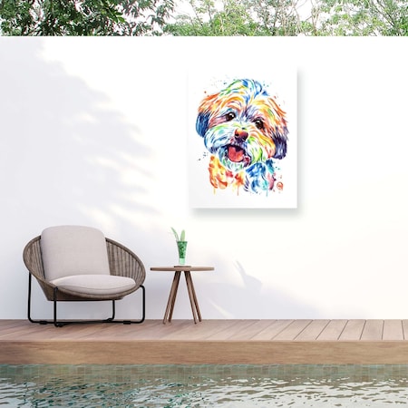 Trademark Fine Art Outdoor Canvas Art Lisa Whitehouse 'Shorkie' Wall Art for Patios, or Gardens GRL01937-OC2432WR