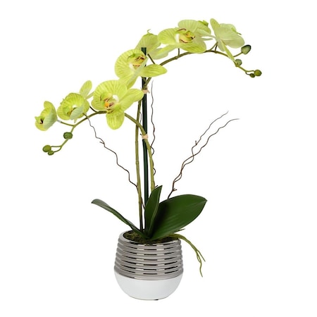 Vickerman 19.5 in. Green Phalaenopsis in Metal Pot Real Touch Petals FN180101