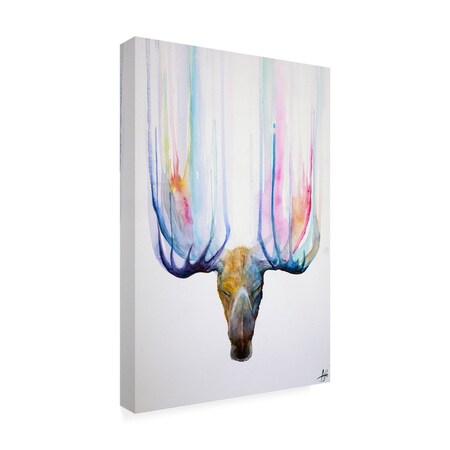 Trademark Fine Art Outdoor Canvas Art Marc Allante 'Zen' Wall Art for Patios, or Gardens GRL02125-OC1219WR