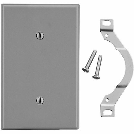 Hubbell Wiring Device-Kellems Blank Strap Mount Wall Plate, Number of Gangs: 1 Plastic, Satin Finish, Graphite P14GY