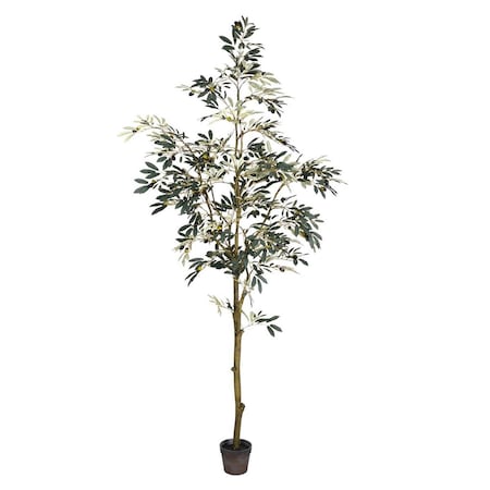 Dare2Decor 7 ft. Potted Olive Tree 1175-Leaves DA2676122