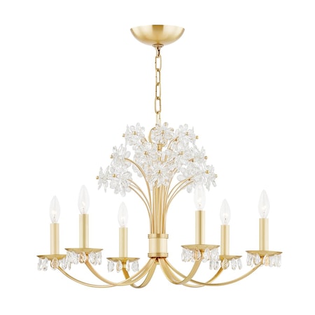 Hudson Valley Lighting Beaumont 6 Light Chandelier 26 In. Aged Brass 4430-AGB