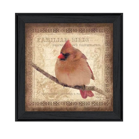 Homeroots Female Cardinal 2 Black Framed Print Wall Art 407372