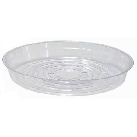 Cwp 8 in. Plastic Plant Saucer Clear, 50PK CW-800N