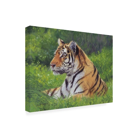 Trademark Fine Art Outdoor Canvas Art David Stribbling 'tiger grass' Wall Art for Patios, or Gardens GRL00442-OC1824WR