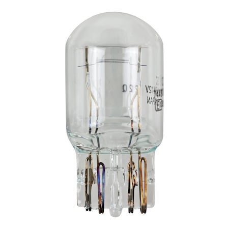 Wagner Lighting Standard Standard Multi-Purpose Light Bulb Card of 1, BP7443