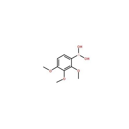 Ak Scientific 2, 3, 4-Trimethoxyphenylboronic acid (10g), CAS 118062-05-8 X1650-10g