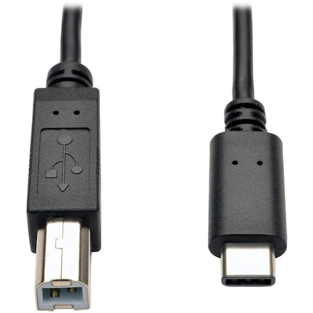Doomsday 6 ft. USB 2.0 Hi-Speed Cable USB Type-B Male to USB Type-C Male - Black - 6 ft. DO3771922