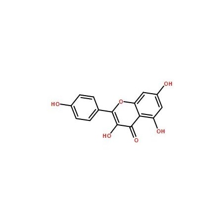 Ak Scientific Kaempferol (1g), CAS 520-18-3 C554-1g