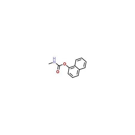 Ak Scientific Carbaryl (1g), CAS 63-25-2 F024-1g