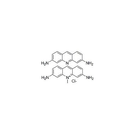 Ak Scientific Acriflavine (mixture of 3, 6-Diamino-10-methylacridinium Chloride and 3, 6-Diaminoacridine) (1g), CAS M441-1g