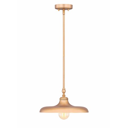 Z-Lite Camden Rubbed Brass 1 Light Pendant 2308P14-RB