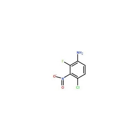 Ak Scientific 4-Chloro-2-fluoro-3-nitro-phenylamine (1g), CAS 2090607-05-7 Y1330-1g