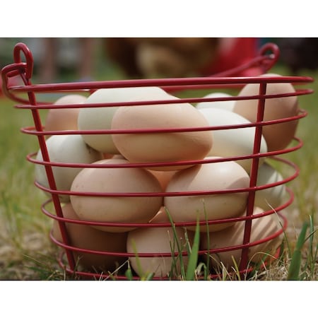 Strombergs Large Red Egg Basket PP006