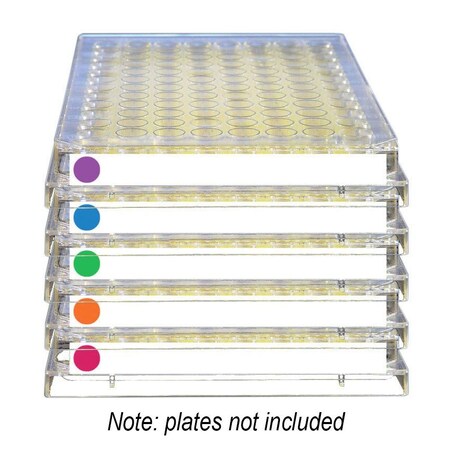 Excel Scientific SealPlate ColorTab Film, Non-Sterile, Assorted Colors, 50PK 202527