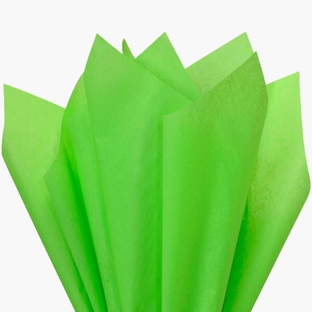 Nashville Wraps Groovy Green Color Tissue Paper, 20x30", 480PK CT3GG