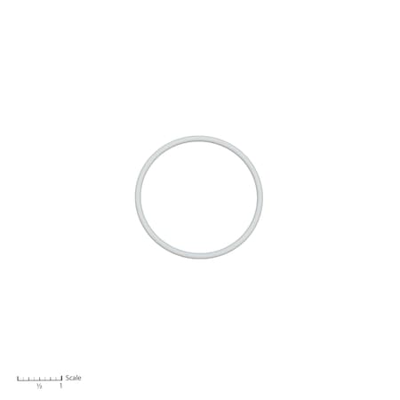 Bedford Precision Parts Teflon O-Ring 15-2395