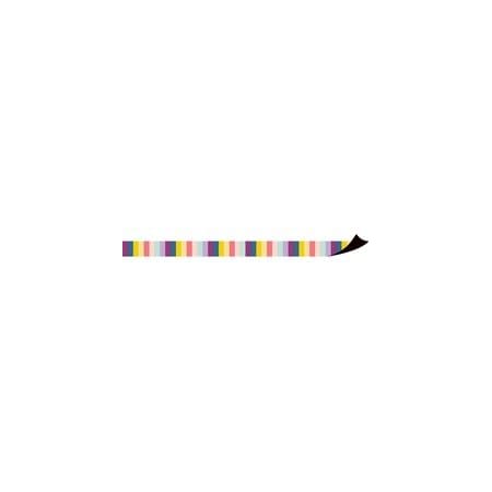 Teacher Created Resources Magnetic Board Border - Magnetic - Stripes - Durable, Reusable - 1.50in Depth x 24in Length, 20PK 77567