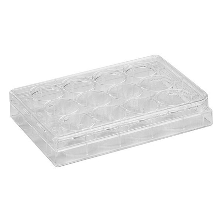 Dynalon Tissue Culture Well Plate, PK100 CL-PT012